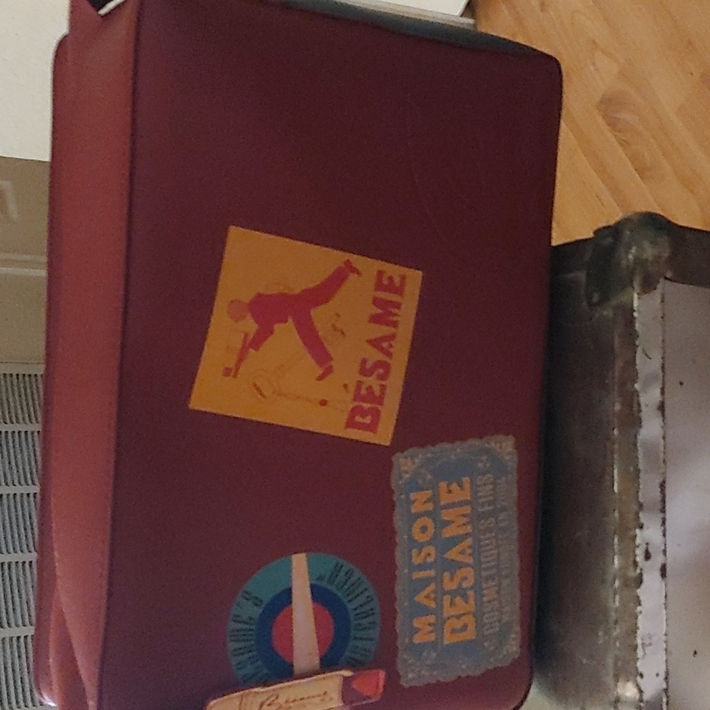 Besame purse/bag